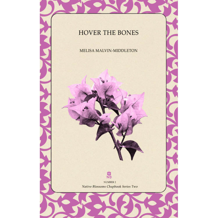 NOW AVAILABLE:  Melisa's Book of Poetry — Hover the Bones
