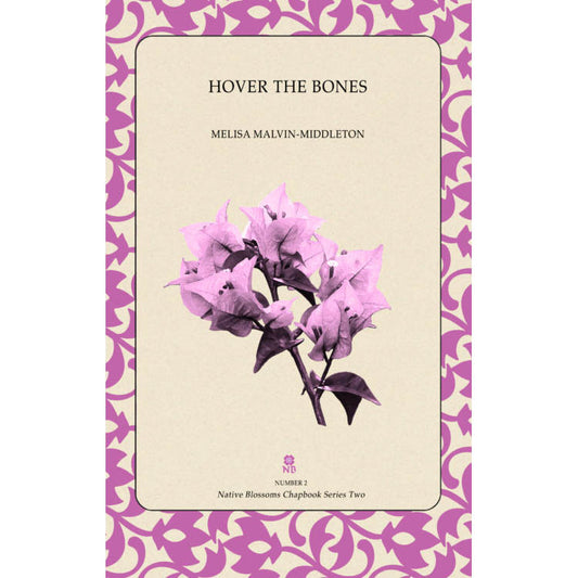 NOW AVAILABLE:  Melisa's Book of Poetry — Hover the Bones